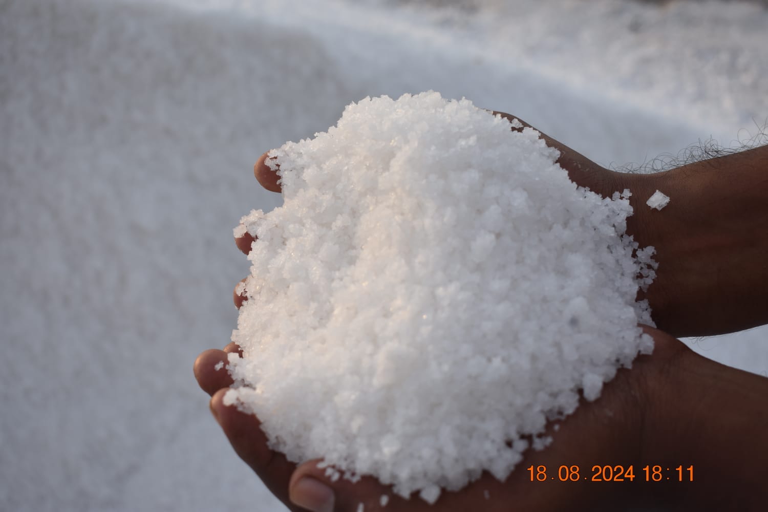 Salt Export