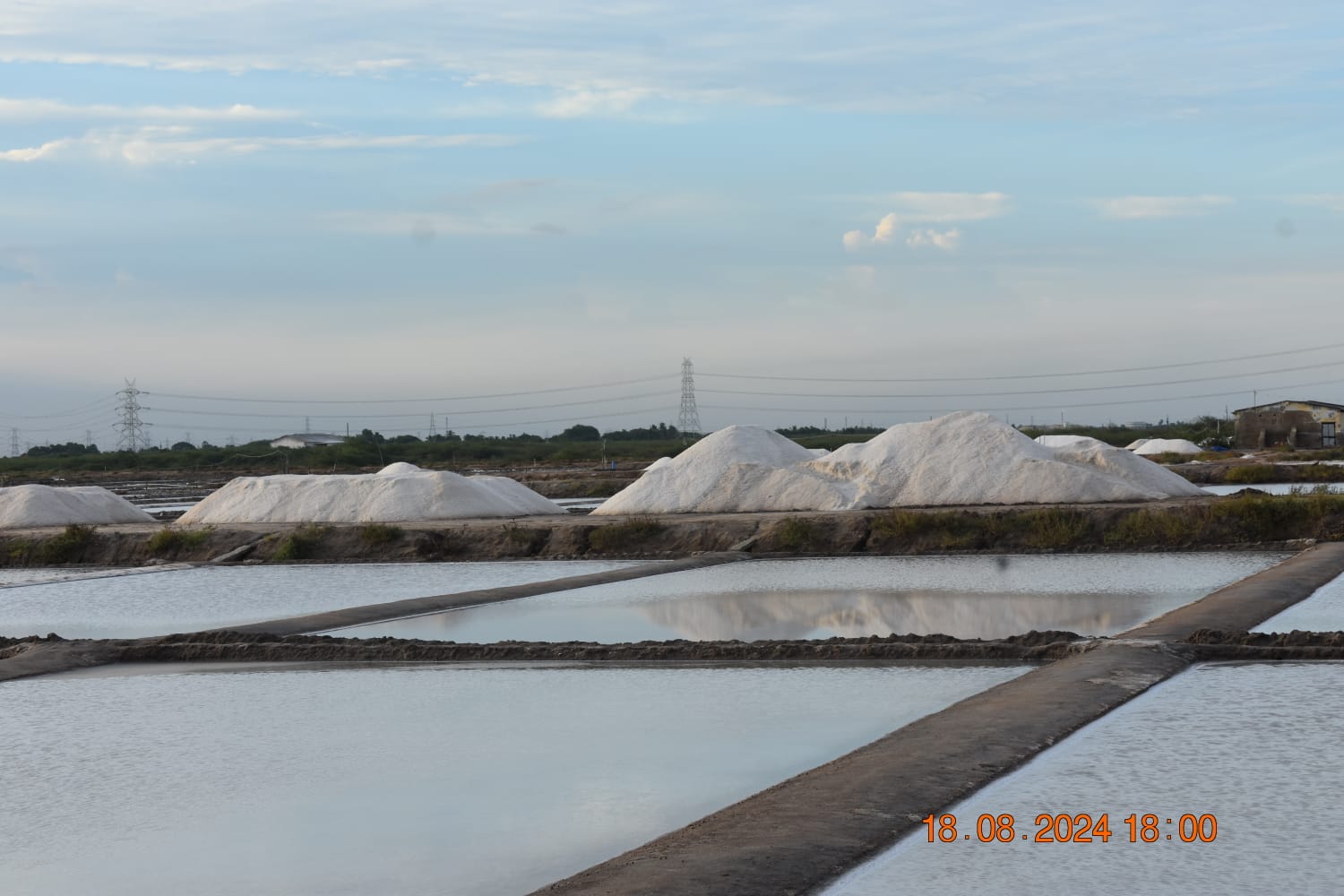 Salt Packing