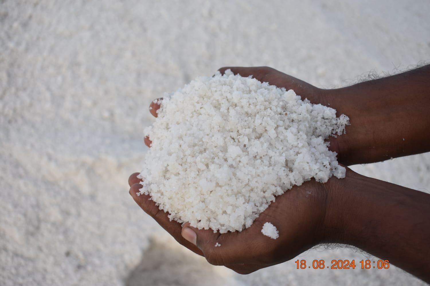Salt Storage